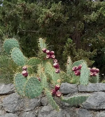 D,apartman' Ulica Pusca 51, 51513 * オミサリ