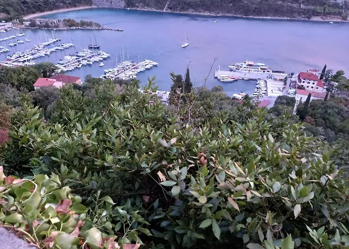 Διαμέρισμα D,apartman' Ulica Pusca 51, 51513 Omišalj